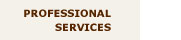 Professional Services