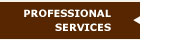 Professional Services